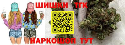спиды Обь