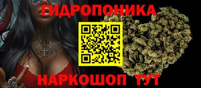 спиды Обь