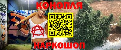 спиды Обь