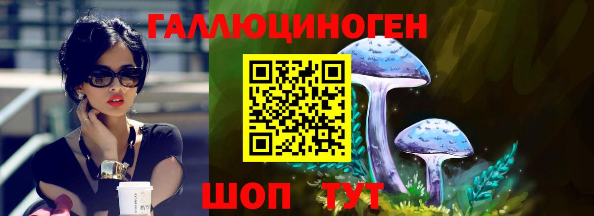 Галлюциногенные грибы Psilocybe Саратов