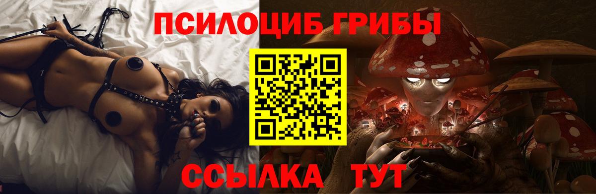 Псилоцибиновые грибы Psilocybe  даркнет сайт  Саратов  Вход с VPN  Галлюциногенные грибы Psilocybe 